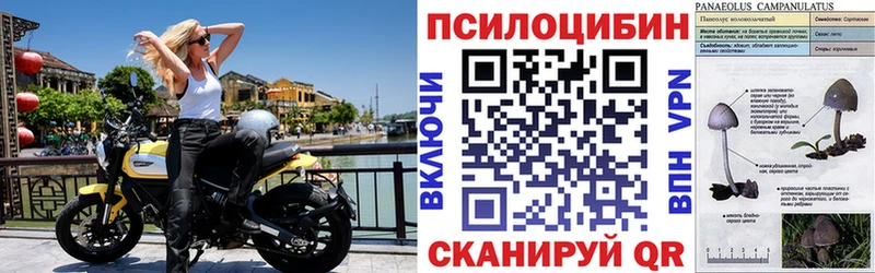 Галлюциногенные грибы мухоморы  Боготол 